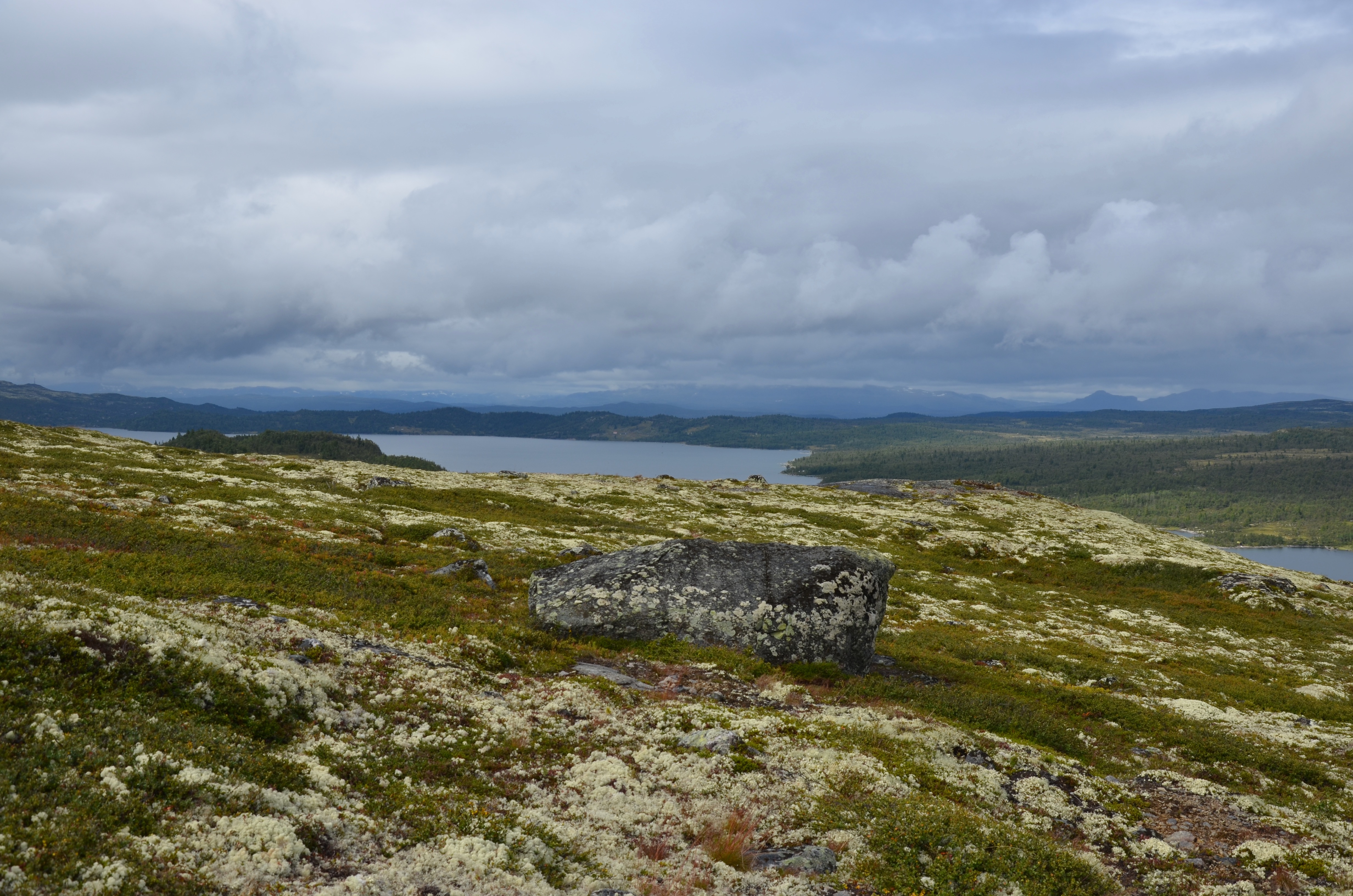 fjäll och sjö