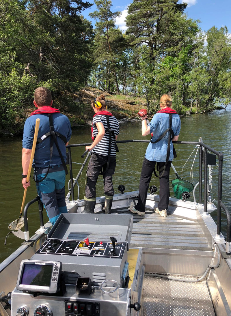Båtelfiske i Mälaren. Foto.