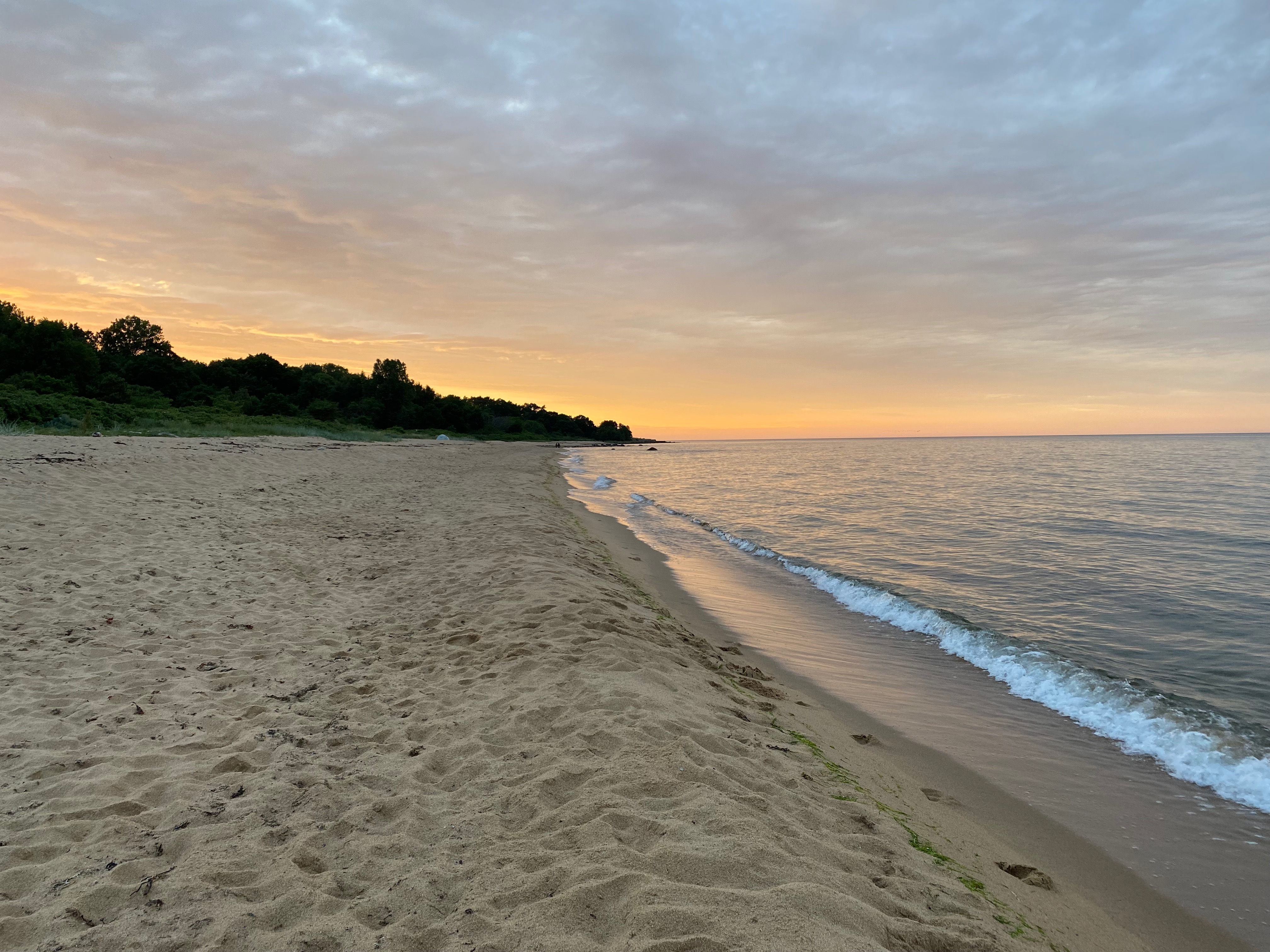 strandkant om kvällen