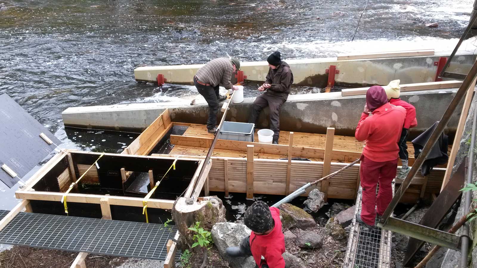 Smolträkning i Mörrumsån. Foto.
