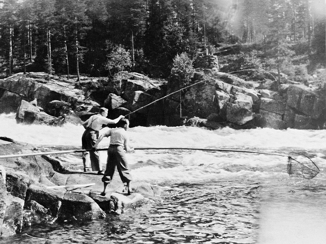 Svartvit bild på laxfiske förr