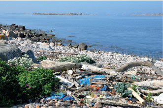 Marint skräp är ett stort problem både i vattnet och när det flyter upp på land. Ultraviolett ljus från solen gör att plastskräpet med tiden blir skört och fragmenterar. Till slut bryts därför även större plastskräp ner till mikroplast.