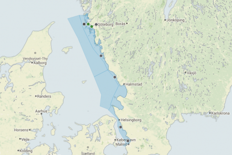Platser där mätning av inposex förekommer längs Kattegatts kust. De gröna punkterna visar på minskande förekomst medans mätning inte pågått tillräckligt länge vid de grå punkterna för att data ska kunna analyseras. 